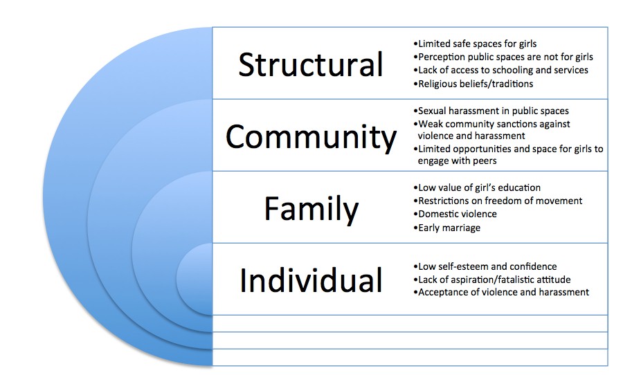 Parivartan ecological model